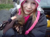 Birder Gladys + Fox Cub.jpg