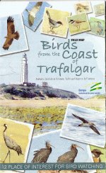 Trafalgar Birds 4.jpg