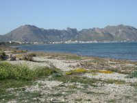 alcudia bay & puerto pollensa.jpg