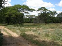 Chishakwe Ranch.jpg