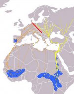 Ciconia_nigra_Eurasian_Migration_.jpg