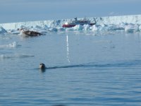 seal and ship.jpg