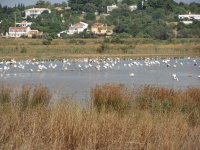 BF_Algarve_Lago_de_Saldago.jpg