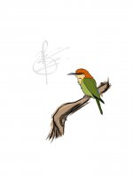 chestnutheadedbeeeater.jpg