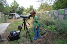 Young Birder.jpg