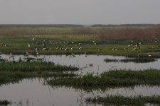 Fogg Dam_100813b.jpg