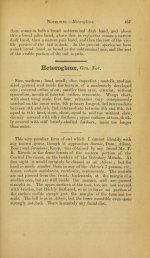 Stray Feathers  (1873) 1 - p.467.jpg