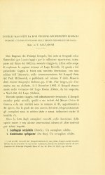 Salvadori 1896 - p. 43 .jpg