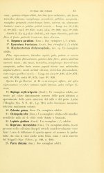 Salvadori 1896 - p. 45 .jpg