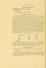 Salvadori 1894 - p.558.jpg