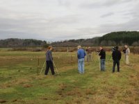 Snowy Owl site.jpg