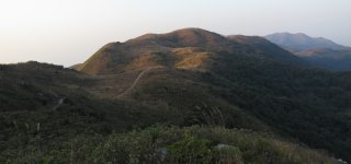 IMG_2135 upland grassland @ Keung Shan.jpg