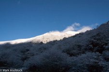 IMG_2013-04-24_1432_Balang Pass_4500masl.jpg