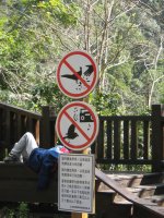 Do Not Feed the Birds Comp.jpg
