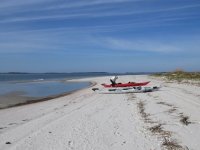 Cumberland Island.jpg