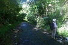 Rio-Sabana-Road.jpg