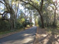 Sapelo road.jpg