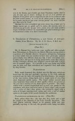 Verreaux, 1871 - p.136.jpg