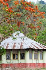 2014-05-03_IMG_0221_Deepor Beel_Visitor Centre.jpg