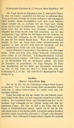 Heinroth, O. 1902. JfO - p.397.jpg