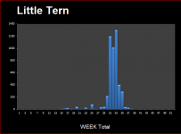 little tern by week.png