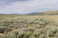 2014_08_03 (18)_Sagebrush_country (800x533).jpg