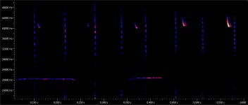 Myterious Park Bat calls 1 and 2.jpg