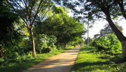 IMG_9918 towpath-jogging trail @ PC, Mexico.JPG