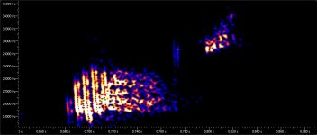 Nathusius' pipistrelle social call - elements a, b, c.jpg