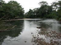 Pureto Viejo river.jpg