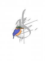 rufous-collared kingfisher.jpg