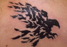 raven-tattoo-20.jpg