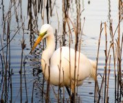 greategret.jpg