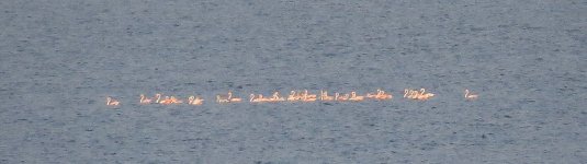IMG_1663 Gtr Flamingos @ Dead Sea.JPG