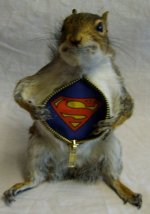 SuperSquirrel.jpg