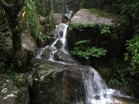 IMG_3032 summer stream @ Sunset Peak.JPG