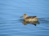 Sands Lake-37-2015-09-19-16.jpg