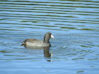 Sands Lake-37-2015-09-19-23.jpg