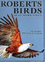 Roberts_Birds_Southern_VII.jpg