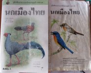 bird book.JPG