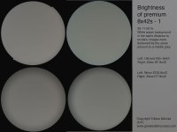 Brightness8x42-1.jpg