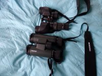 4-5-16 binoculars 003 (800x600).jpg