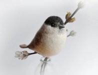 black-capped.jpg