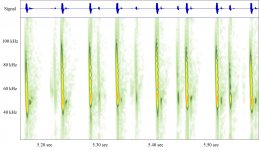 Bat sonogram.jpg