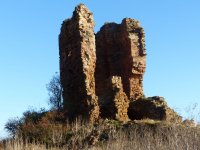 Seafield Tower from South.jpg