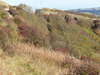 Looking back to Stone Dyke.jpg