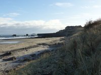 Seafield Beach.jpg