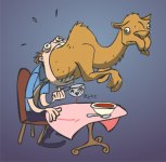 gnat-camel.jpg