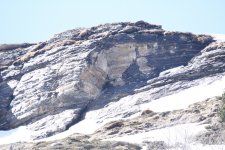 Spot the wallcreeper.JPG