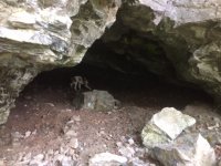 Wild Boar cave.JPG